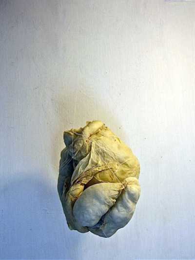 bulbs6